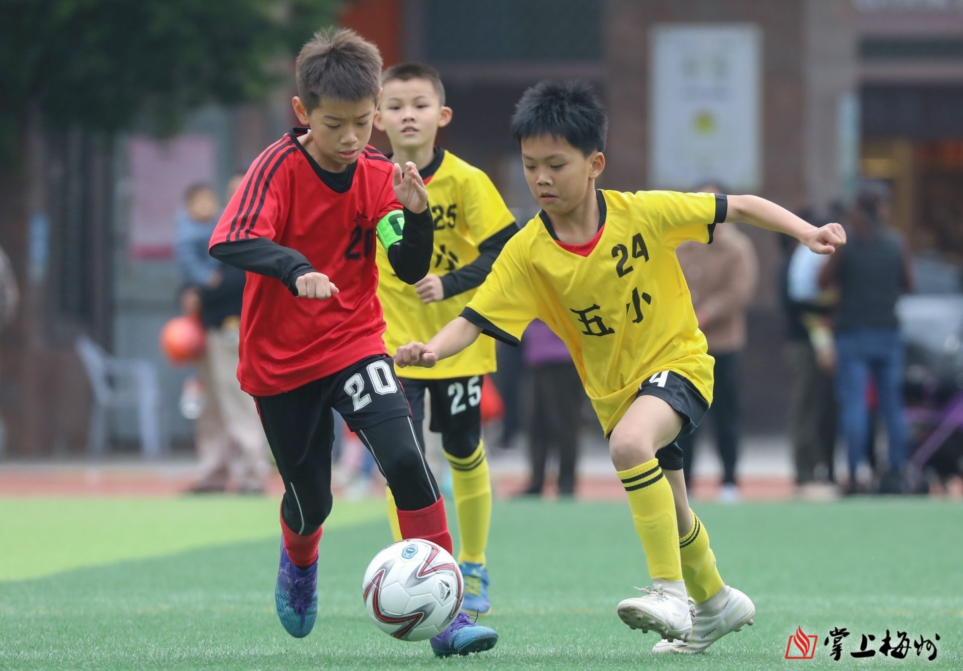 关于青少年足球教育普及大计划正式启动的信息 关于青少年足球教育普及大计划正式启动的信息