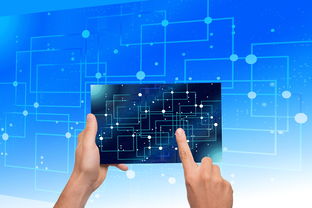 爱游戏体育-中国篮球青训体系教练员能力评估与发展规划，篮球教练员素养